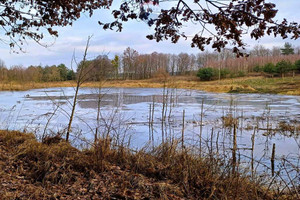 Działka na sprzedaż 3915m2 rypiński Rogowo Pinino - zdjęcie 3