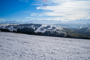 Działka na sprzedaż 5420m2 nowotarski Czarny Dunajec Ratułów - zdjęcie 1