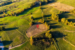 Działka na sprzedaż 2946m2 limanowski Mszana Dolna Łostówka - zdjęcie 2