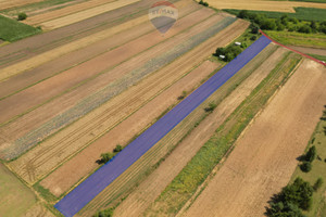 Działka na sprzedaż 5600m2 krakowski Kocmyrzów-Luborzyca Krzysztoforzyce - zdjęcie 2