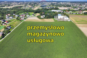 Działka na sprzedaż 18900m2 rybnicki Świerklany Świerklany - zdjęcie 1