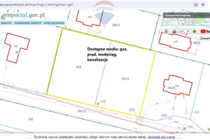 Działka na sprzedaż 1200m2 miński Halinów Hipolitów Dereniowa - zdjęcie 2