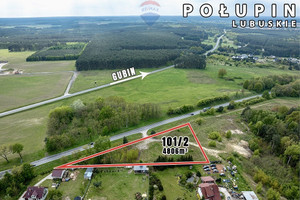 Działka na sprzedaż 4086m2 krośnieński Dąbie Połupin Krośnieńska - zdjęcie 3