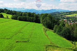 Działka na sprzedaż 3185m2 tatrzański Biały Dunajec - zdjęcie 1