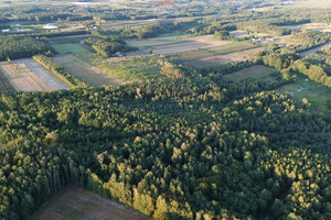 Działka na sprzedaż 85800m2 żyrardowski Mszczonów Bobrowce - zdjęcie 2