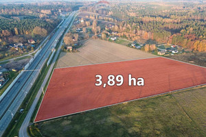 Działka na sprzedaż 38900m2 skierniewicki Kowiesy Zawady - zdjęcie 1