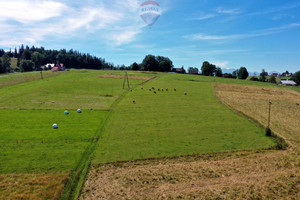 Działka na sprzedaż 9650m2 nowotarski Szaflary Maruszyna - zdjęcie 1