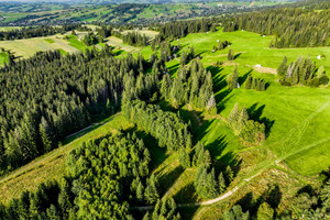 Działka na sprzedaż 4259m2 tatrzański Kościelisko Dzianisz - zdjęcie 3