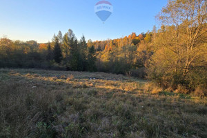 Działka na sprzedaż 2578m2 nowotarski Szczawnica - zdjęcie 2