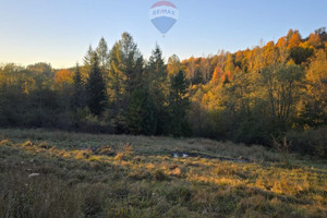 Działka na sprzedaż 2578m2 nowotarski Szczawnica - zdjęcie 3