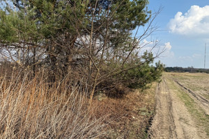 Działka na sprzedaż pruszkowski Nadarzyn Walendów Cyranki - zdjęcie 2