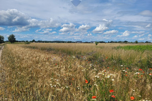 Działka na sprzedaż 1423m2 szamotulski Duszniki Grzebienisko Szamotulska - zdjęcie 2