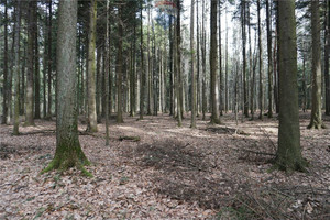 Działka na sprzedaż 12930m2 suski Budzów - zdjęcie 1