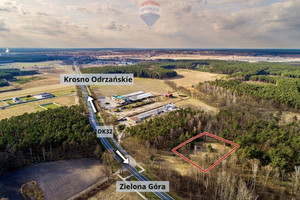 Działka na sprzedaż 4081m2 krośnieński Dąbie Leśna - zdjęcie 3