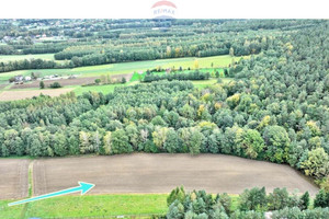 Działka na sprzedaż 2490m2 bielski Porąbka Czaniec - zdjęcie 2