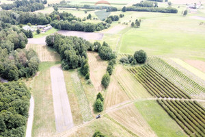 Działka na sprzedaż 4500m2 zwoleński Kazanów Ostrownica - zdjęcie 3