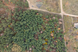 Działka na sprzedaż grodziski Żabia Wola Siestrzeń Nad Lasem - zdjęcie 3