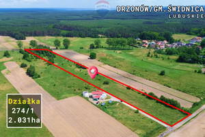 Działka na sprzedaż 20314m2 zielonogórski Świdnica Drzonów - zdjęcie 1