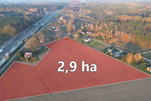 Działka na sprzedaż 29000m2 skierniewicki Kowiesy Zawady - zdjęcie 1