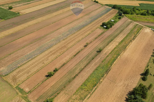 Działka na sprzedaż 5600m2 krakowski Kocmyrzów-Luborzyca Krzysztoforzyce - zdjęcie 3