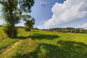 Działka na sprzedaż 1342m2 nowotarski Łapsze Niżne Falsztyn - zdjęcie 1