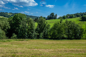 Działka na sprzedaż 1300m2 tatrzański Bukowina Tatrzańska Leśnica - zdjęcie 3