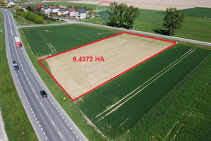 Działka na sprzedaż 4372m2 brzeski Skarbimierz Bierzów - zdjęcie 1