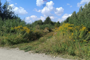 Działka na sprzedaż 9678m2 radomski Skaryszew Zielona - zdjęcie 1