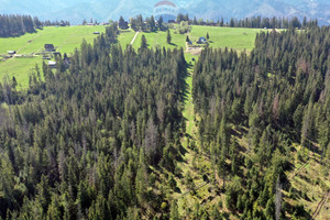 Działka na sprzedaż 2331m2 tatrzański Zakopane - zdjęcie 1