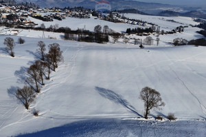 Działka na sprzedaż 1361m2 nowotarski Łapsze Niżne Falsztyn Ogrodowa - zdjęcie 2