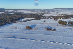 Działka na sprzedaż 7012m2 nowotarski Spytkowice - zdjęcie 2