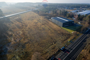 Działka na sprzedaż 12720m2 gostyniński Gostynin Rogożewek - zdjęcie 3