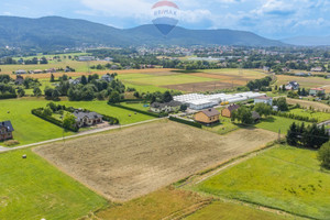 Działka na sprzedaż 1198m2 bielski Kozy Żytnia - zdjęcie 2