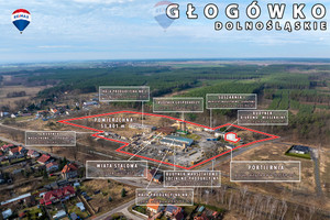 Komercyjne na sprzedaż 53801m2 głogowski Kotla Głogówko - zdjęcie 1