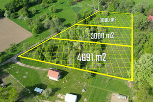 Działka na sprzedaż 3000m2 nowodworski Leoncin Wilków nad Wisłą - zdjęcie 2