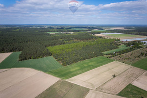 Działka na sprzedaż 42972m2 płoński Joniec Nowa Wrona - zdjęcie 3