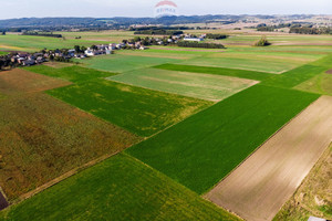 Działka na sprzedaż 43724m2 olkuski Wolbrom Lgota Wolbromska - zdjęcie 2