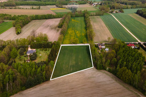 Działka na sprzedaż 6445m2 zgierski Zgierz Besiekierz Rudny - zdjęcie 3