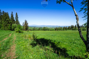 Działka na sprzedaż 1365m2 tatrzański Biały Dunajec Sierockie - zdjęcie 1