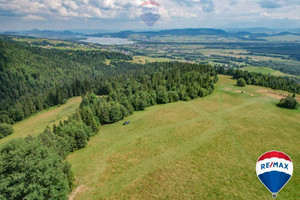 Działka na sprzedaż 7103m2 nowotarski Nowy Targ Knurów - zdjęcie 3