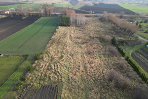 Działka na sprzedaż 10000m2 gdański Pszczółki Skowarcz - zdjęcie 2