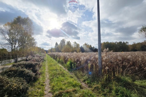 Działka na sprzedaż 4283m2 zgierski Stryków Klęk - zdjęcie 2