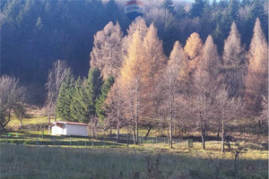 Działka na sprzedaż 7000m2 wadowicki Andrychów Roczyny - zdjęcie 2