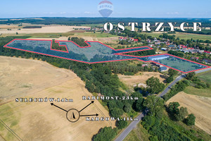 Działka na sprzedaż 99100m2 zielonogórski Trzebiechów Ostrzyce - zdjęcie 2