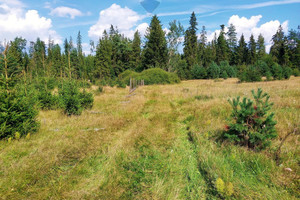 Działka na sprzedaż 2093m2 nowotarski Jabłonka - zdjęcie 3