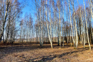 Działka na sprzedaż 2324m2 grodziski Jaktorów Bieganów Królowej Marysieńki - zdjęcie 1