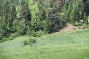 Działka na sprzedaż 8049m2 nowotarski Krościenko nad Dunajcem Krośnica - zdjęcie 3