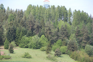 Działka na sprzedaż 8049m2 nowotarski Krościenko nad Dunajcem Krośnica - zdjęcie 3