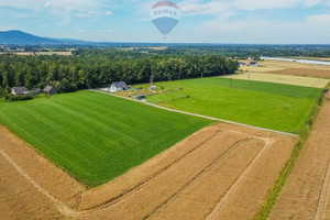 Działka na sprzedaż 14791m2 wadowicki Wieprz Nidek Różana - zdjęcie 3