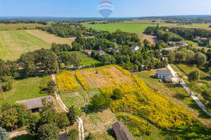 Działka na sprzedaż 2000m2 łódzki wschodni Nowosolna Moskwa - zdjęcie 3